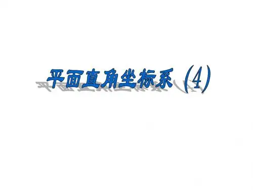 平面直角坐标系(3)