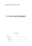 沙县小吃调查报告模板