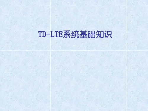 TD-LTE系统基础知识讲解