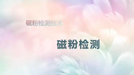 磁粉检测技术：铁磁性材料的磁化及磁介质的分类