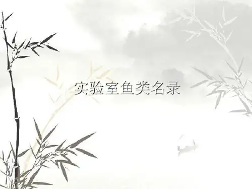 实验室鱼类名录