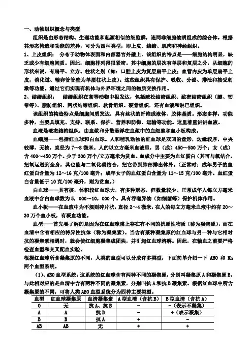 动物组织、结构和功能