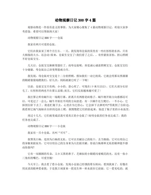 动物观察日记300字4篇