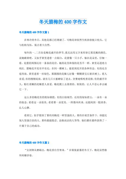 冬天腊梅的400字作文