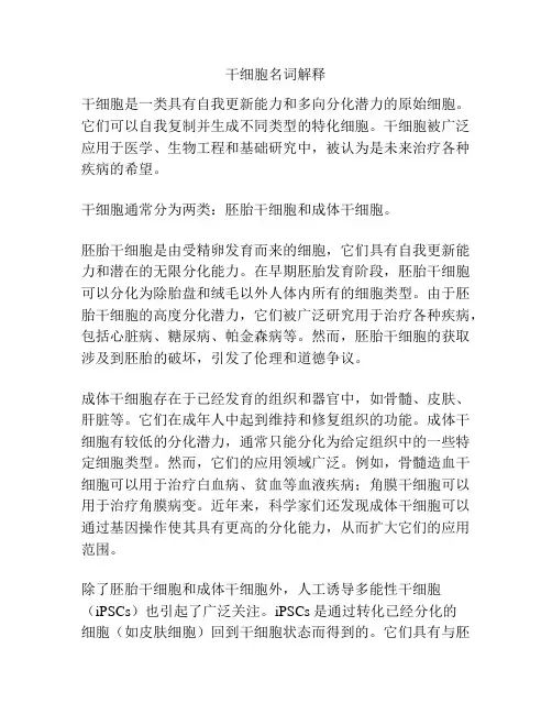 干细胞名词解释