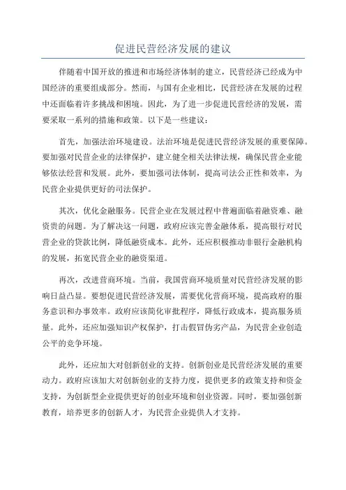 促进民营经济发展的建议