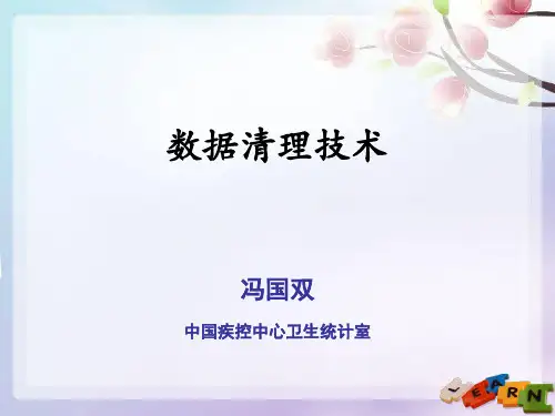 数据清洗技术PPT课件