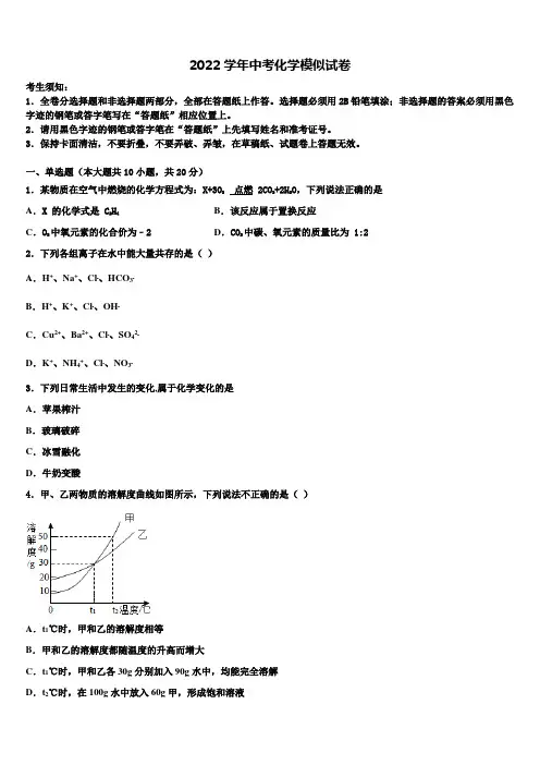 2022年山东省诸城市市级名校中考化学模拟试题(含解析)