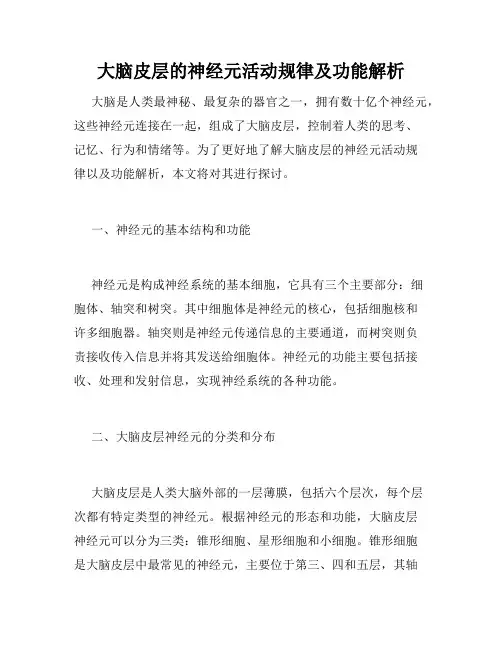 大脑皮层的神经元活动规律及功能解析