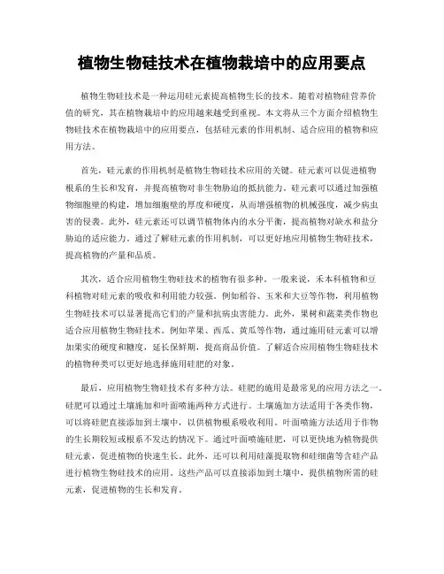 植物生物硅技术在植物栽培中的应用要点