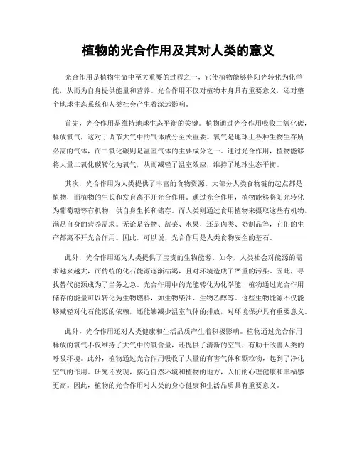 植物的光合作用及其对人类的意义