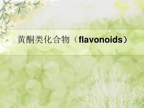 黄酮类化合物flavonoids