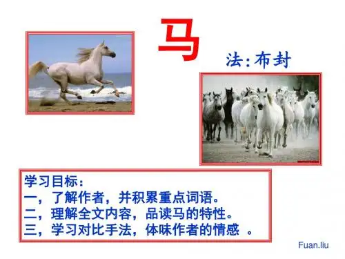 人教版初中语文七年级下册 《马》 ppt课件