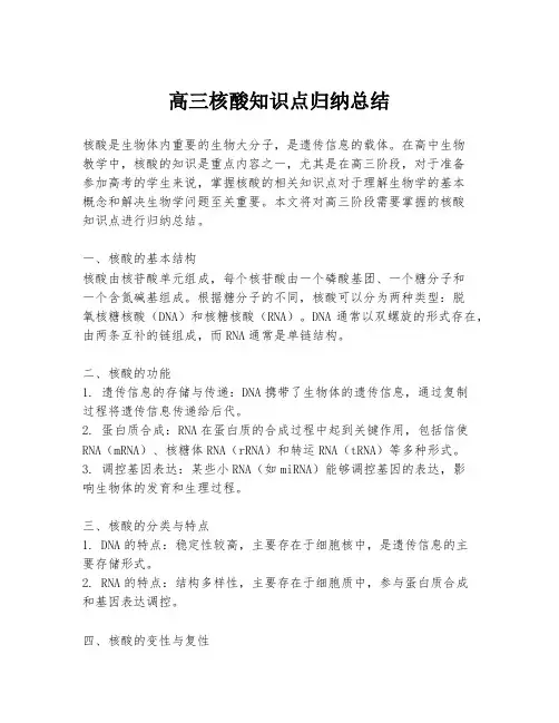 高三核酸知识点归纳总结