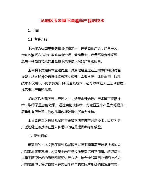 龙城区玉米膜下滴灌高产栽培技术