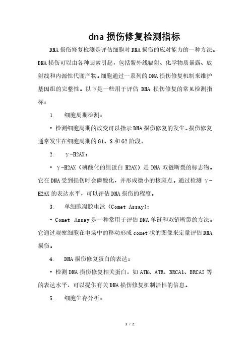 dna损伤修复检测指标