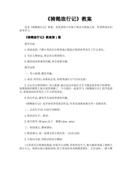 《骑鹅旅行记》教案