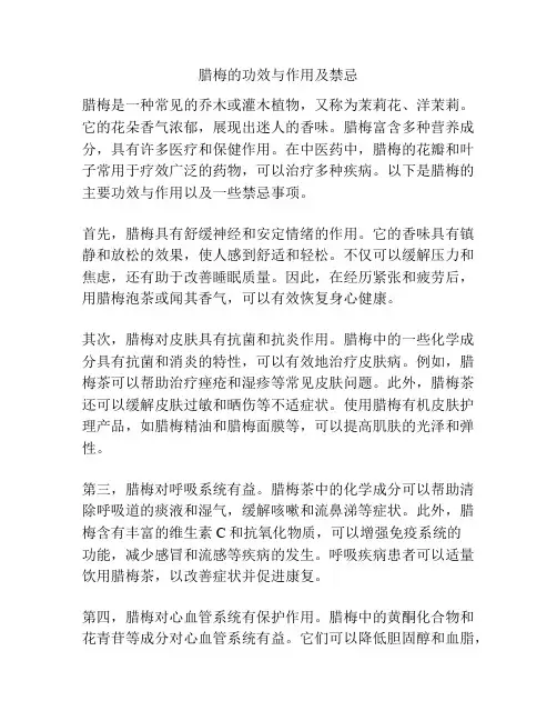 腊梅的功效与作用及禁忌