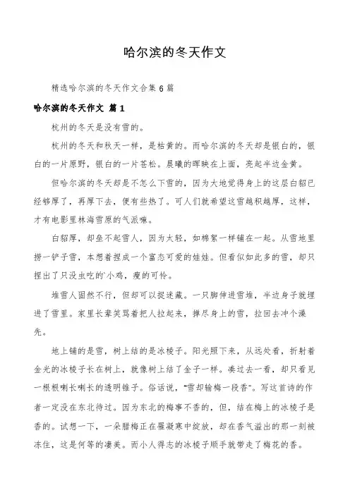 哈尔滨的冬天作文