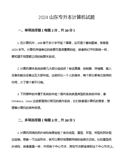 2024山东专升本计算机试题