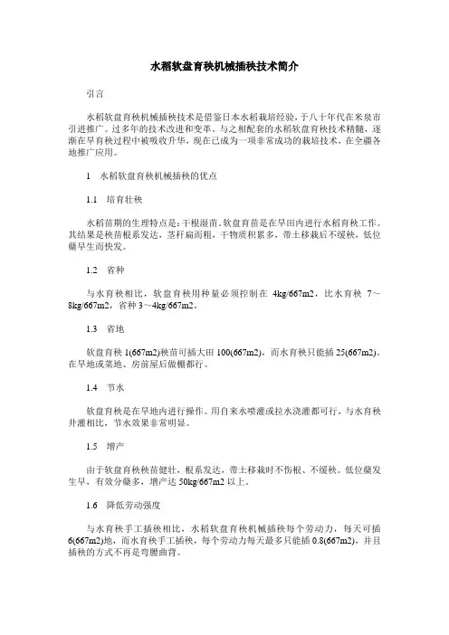 水稻软盘育秧机械插秧技术简介