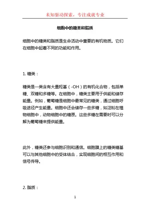 细胞中的糖类和脂质