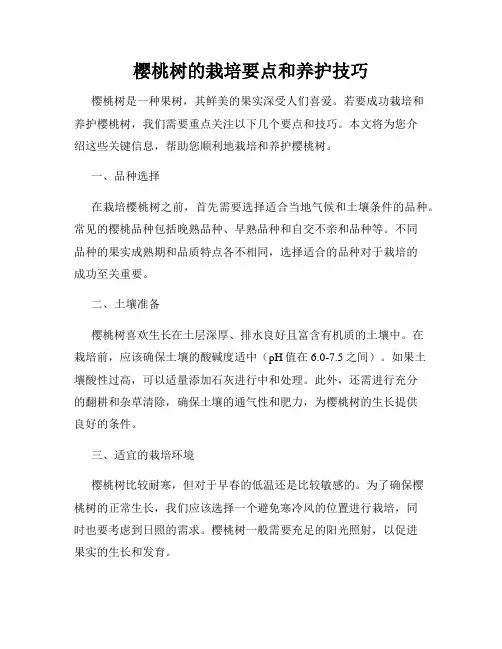樱桃树的栽培要点和养护技巧