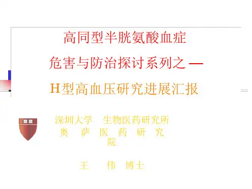 H型高血压与心脑血管疾病精