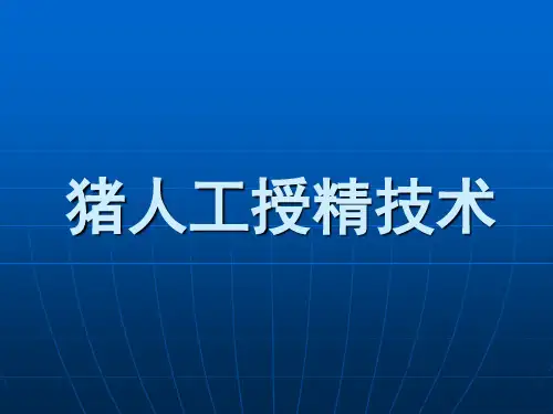 猪人工授精技术