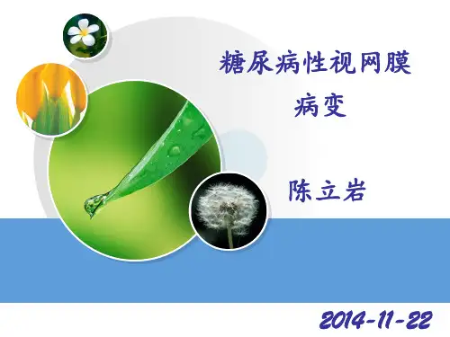 糖尿病性视网膜病变  ppt课件