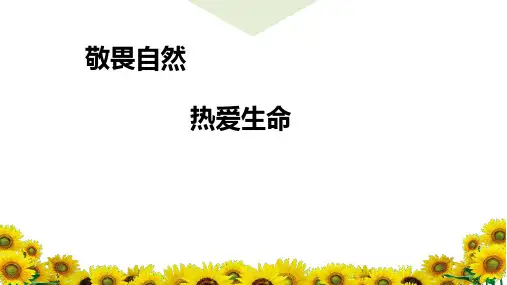 生命教育篇《敬畏自然 热爱生命》主题班会ppt课件(教案匹配版)