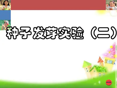 最新版本小学五年级上册科学说课课件-1.1种子发芽实验(二)｜教科版(共15张PPT)