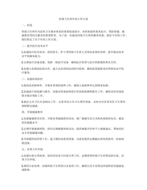 村级卫生所年初工作计划