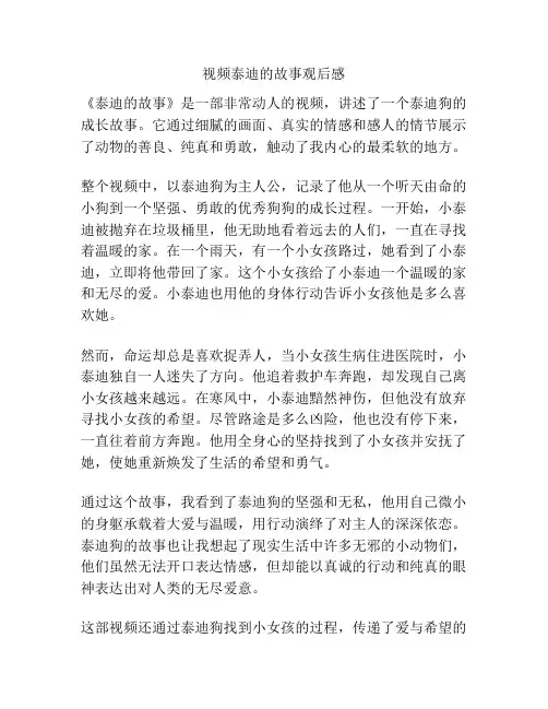 视频泰迪的故事观后感