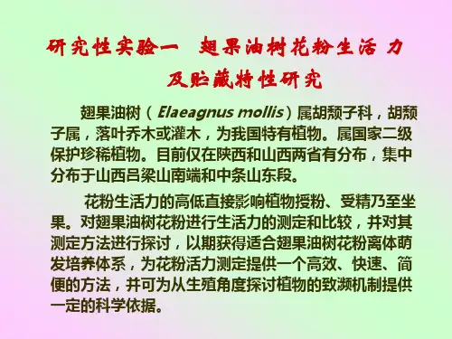 研究性实验一 翅果油树花粉生活力及贮藏特性研究