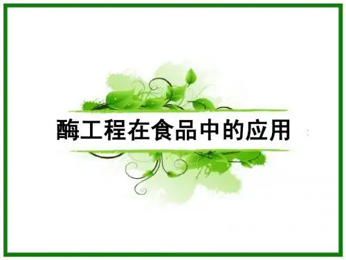 酶工程在食品中的应用