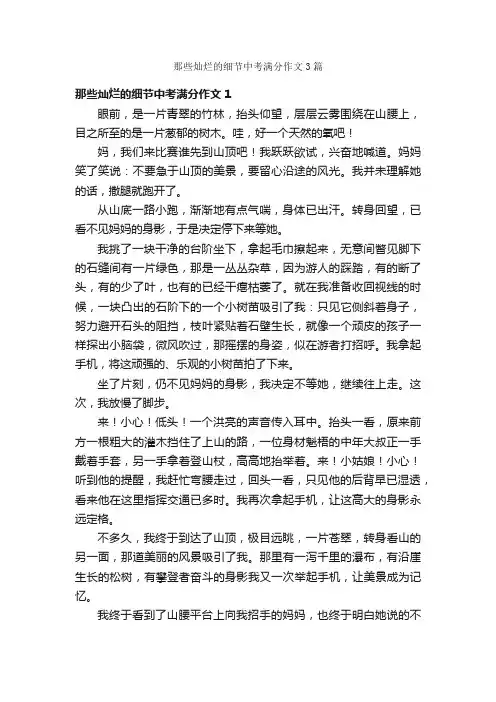 那些灿烂的细节中考满分作文3篇