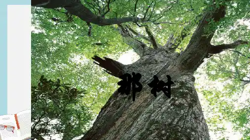 九年级语文下册新人教版10.那树ppt课件(精选)