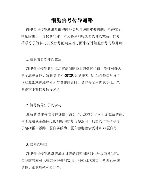 细胞信号传导通路