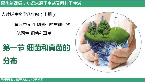 5-4-1 细菌和真菌的分布
