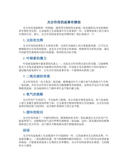 光合作用的故事有哪些