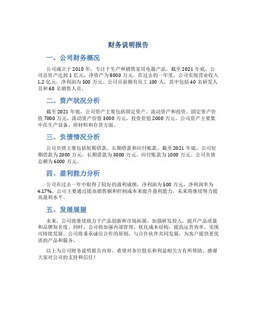 财务说明报告