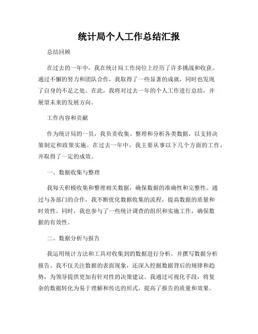 统计局个人工作总结汇报
