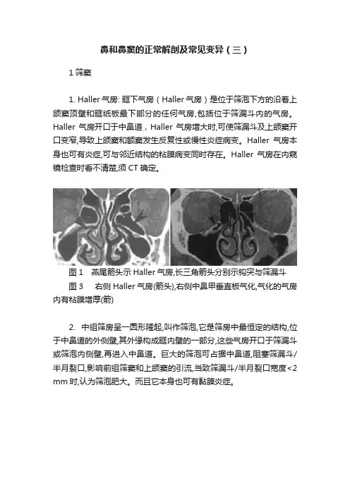 鼻和鼻窦的正常解剖及常见变异（三）