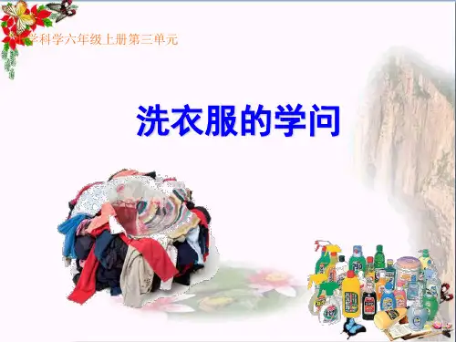 六年级科学上册洗衣服的学问PPT课件