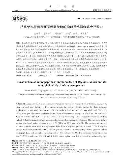 枯草芽孢杆菌表面展示氨肽酶的构建及协同水解大豆蛋白