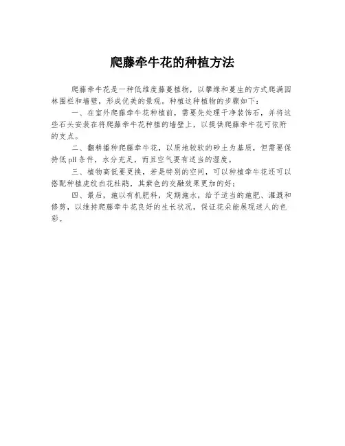 爬藤牵牛花的种植方法