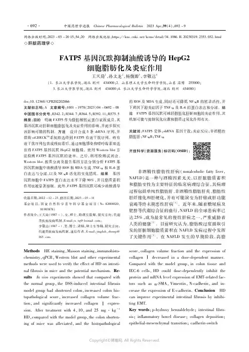 FATP5基因沉默抑制油酸诱导的HepG2细胞脂肪化及炎症作用