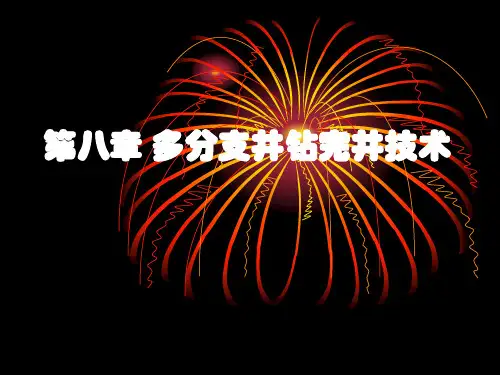第八章 多分支井钻完井