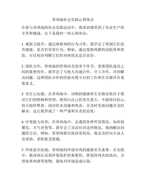 养鸡场社会实践心得体会